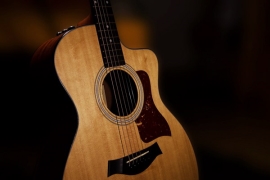 finger-style acoustic guitar